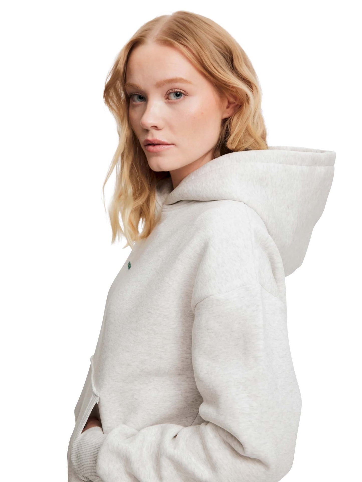 W. Pollux Hoodie Grey Melange